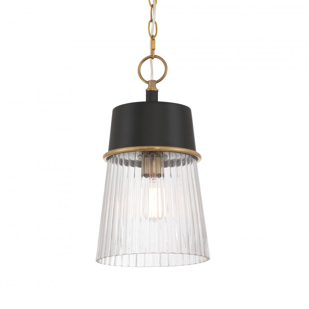 1 LIGHT PENDANT