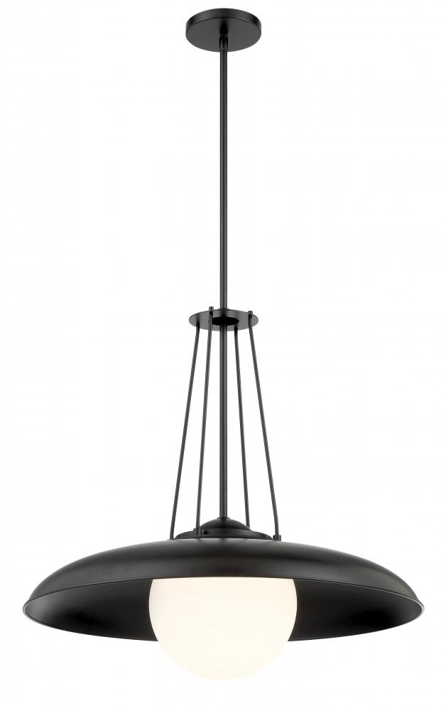 1 LIGHT PENDANT