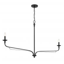 Minka-Lavery 3825-899 - 2 LIGHT CHANDELIER