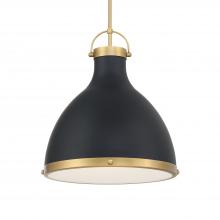 Minka-Lavery 3932-876 - 1 LIGHT PENDANT