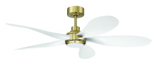 Craftmade RSL52SBW5 - 52" Ceiling Fan w/DC Motor, 5 CCT LED Disk, 2-Wire HW Wall Control