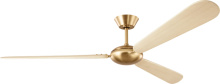 Visual Comfort & Co. Fan Collection 3PODSM64BBSWWO - Pod Smart 64 Ceiling Fan